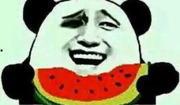 纪检吃瓜,揭秘吃瓜群众的监督力量