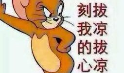 吃瓜合集骗人,揭秘吃瓜合集背后的骗人生涯