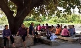 树下乘凉吃瓜,瓜果飘香共享时光