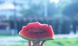 安静的吃瓜人,悠然自得的人生篇章