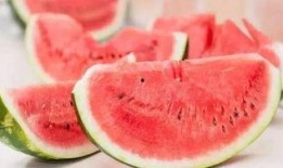 吃瓜买衣服,揭秘买衣服的趣味指南