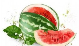 吃瓜分瓜,揭秘娱乐圈幕后故事