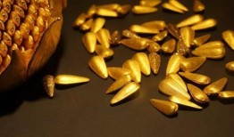 从古代吃瓜吃的现代,从古代吃瓜到现代的演变之旅