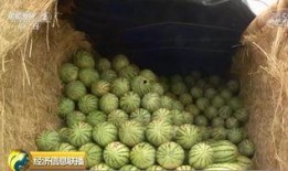 厚力瓜怎么吃,解锁美味新体验