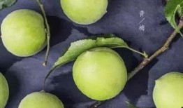 诱青梅 吃瓜人,一场吃瓜人生的甜蜜冒险