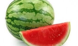 吃瓜应用功能,轻松掌握娱乐圈动态，畅享娱乐资讯盛宴