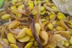 蚯蚓吃瓜,探索蚯蚓吃瓜的奇妙世界