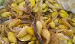 蚯蚓吃瓜,探索蚯蚓吃瓜的奇妙世界