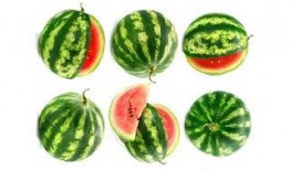 无限吃瓜在线,揭秘网络时代下的娱乐狂欢