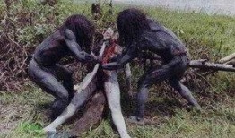 群聊吃瓜恐怖故事,吃瓜引发的恐怖故事揭秘