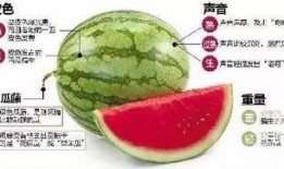 霍州吃货吃瓜群微信,美食与趣事的微信盛宴