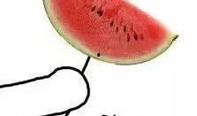 有人在吃瓜吗,吃瓜群众背后的故事