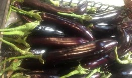 茄子吃瓜事件,一场意外的美食奇遇