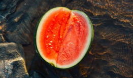 嵊泗吃瓜,探寻海鲜与瓜果的完美邂逅