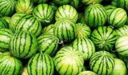 吃瓜后的感受分享,一场味蕾与心灵的盛宴