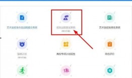 吃瓜大白系统,网络舆论场的新宠儿