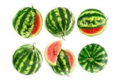 小夫吃瓜版,揭秘娱乐圈那些不为人知的幕后故事