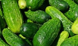 梦见吃啥密瓜,揭秘梦中密瓜的神秘寓意