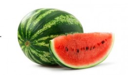 苏辰海王吃瓜,揭秘网络红人吃瓜背后的故事