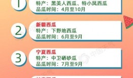 投票吃瓜的正确步骤,轻松掌握参与投票与享受瓜子的正确步骤