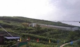 盘山吃瓜群众事件