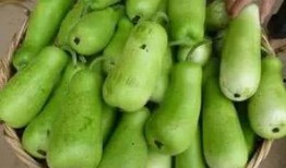 吃葫芦瓜好吗,葫芦瓜的营养价值与食用益处解析