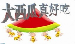 吃瓜都做ppt,轻松掌握信息传播的艺术