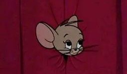 吃瓜杰瑞头像,揭秘吃瓜杰瑞的爆笑形象