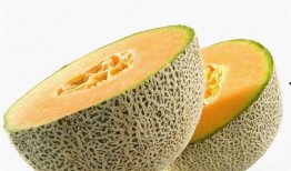 宝宝可吃哈密瓜,营养丰富的哈密瓜推荐