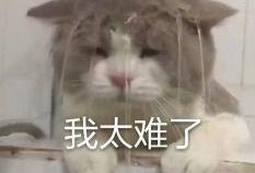 内娱吃瓜内容,揭秘娱乐圈背后的那些事儿