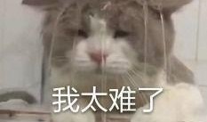 内娱吃瓜内容,揭秘娱乐圈背后的那些事儿