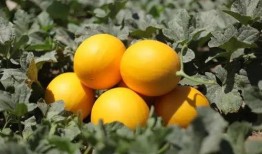 吃瓜吃到炸裂,揭秘娱乐圈那些不为人知的幕后故事