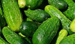 梦见偷了瓜吃瓜啥意思呀,偷瓜吃瓜背后的寓意与启示