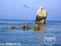 庄河吃瓜黑岛新闻,揭秘吃瓜群众的夏日新闻焦点