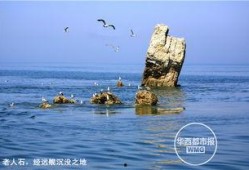 庄河吃瓜黑岛新闻,揭秘吃瓜群众的夏日新闻焦点