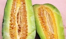 蜜瓜的嫩瓜怎么吃,蜜瓜嫩瓜的多样美味食用指南