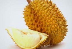 吃榴莲瓜吗,独特的热带水果，你敢尝试吗？