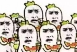 吃瓜群众甲003,网络红人的崛起之路