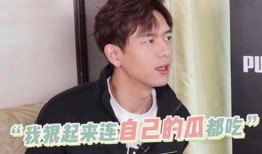 李现的吃瓜,娱乐圈的“瓜田”风云再起