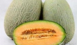 吃哈密瓜歌词