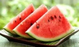 沧州学校吃瓜,揭秘校园食品安全背后的真相