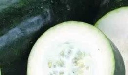 汕尾同城吃瓜,揭秘本地热门话题与趣闻轶事