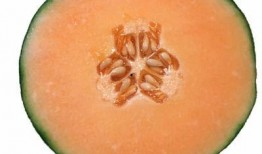 星期可以吃哈密瓜吗,哈密瓜的适宜食用日历