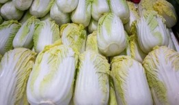 王大爷快乐吃瓜,品味人间烟火，笑对生活百态