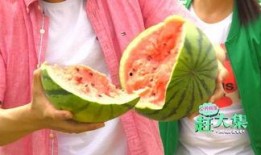 静海子牙吃瓜,瓜田里的夏日风情