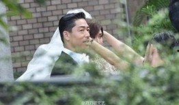 白婚纱吃瓜,揭秘娱乐圈的甜蜜与苦涩