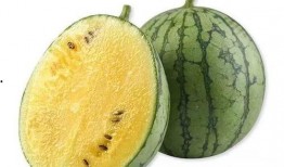 吃瓜群众板凳团,揭秘网络热议背后的趣味与真相