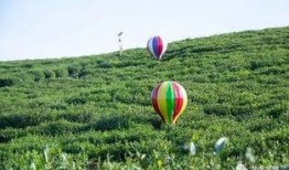 彩虹吃瓜介绍,揭秘网络红人的美食之旅