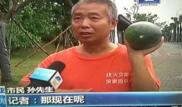 全网热门事件吃瓜,揭秘热门事件背后的真相与争议