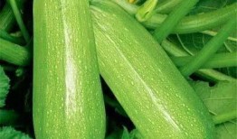 813吃瓜,网络舆论的狂欢与反思